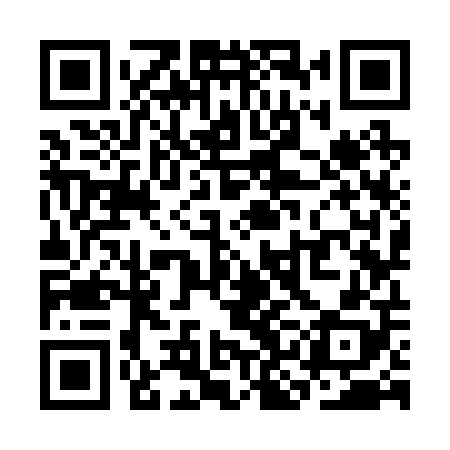 QR code for SKK208