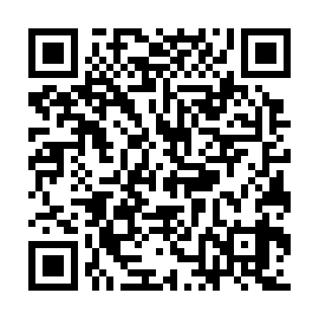 QR code for SNG339