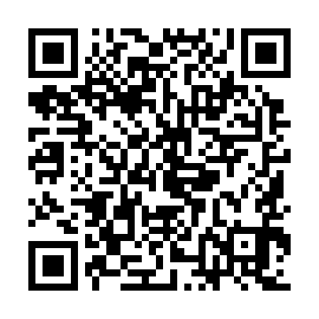QR code for SNI391