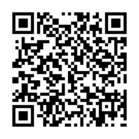 QR code for SOH993