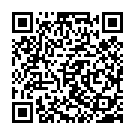 QR code for SPJ439