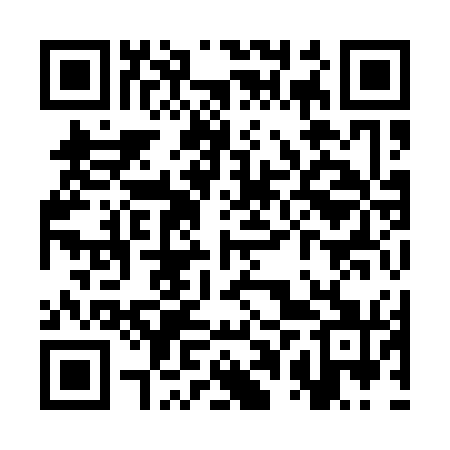 QR code for SPY171