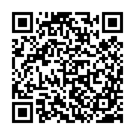 QR code for SSI447