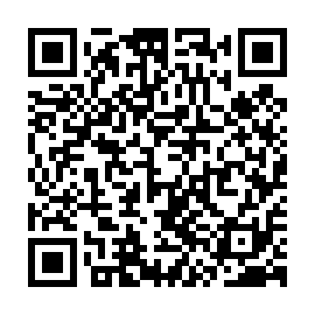 QR code for SVG411