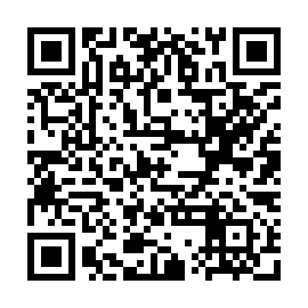 QR code for SWF991