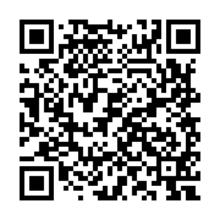 QR code for SYB991