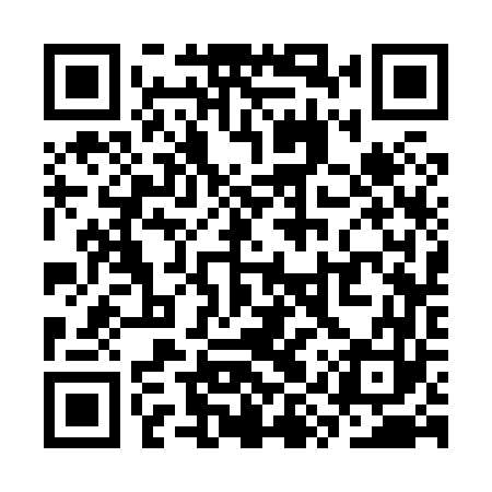 QR code for SYS863