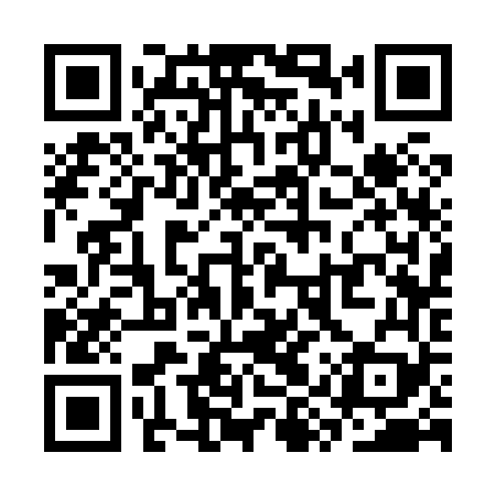 QR code for SYS869