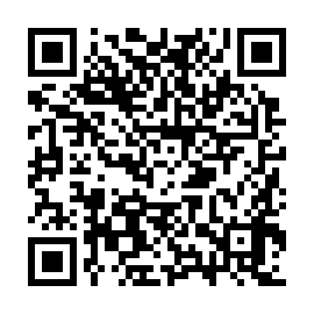 QR code for SYZ398