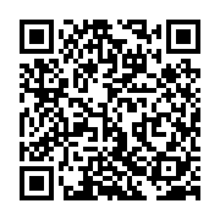 QR code for TBI228