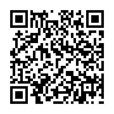 QR code for TDK499