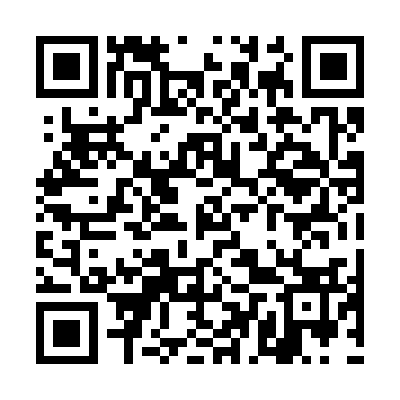 QR code for TDP333
