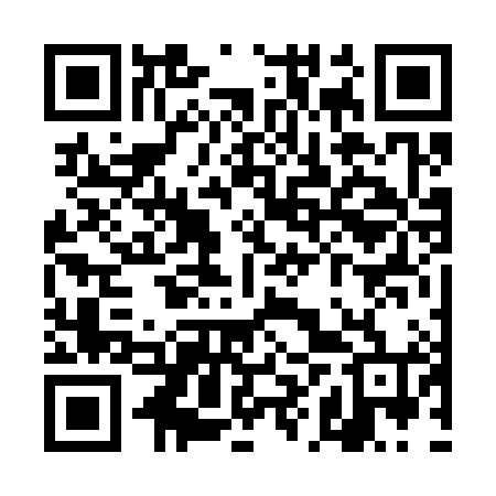 QR code for THV384