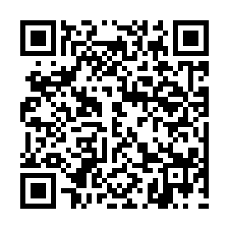 QR code for TIC919