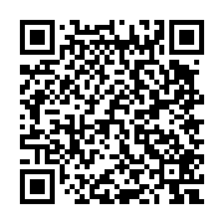 QR code for TIE409