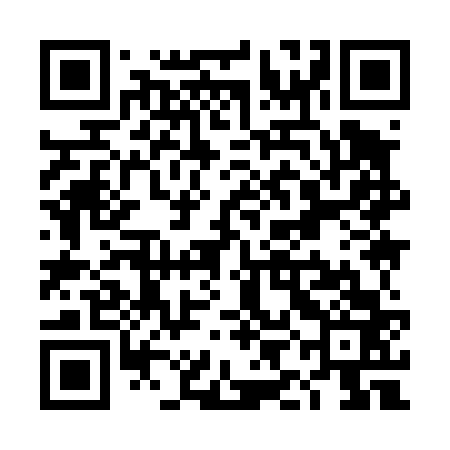 QR code for TII463