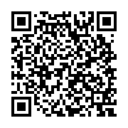 QR code for TIJ391