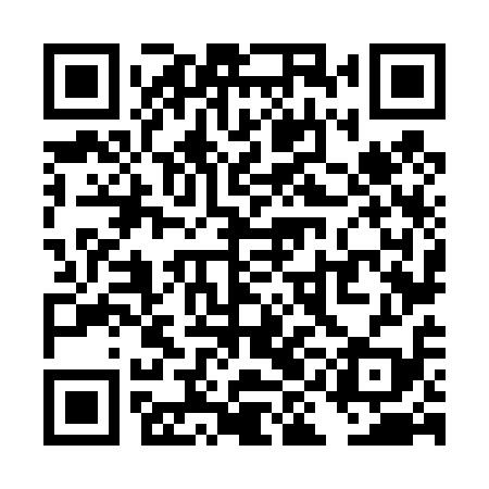 QR code for TIN419