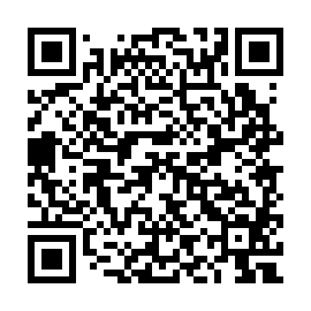 QR code for TIP384