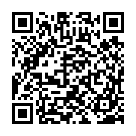 QR code for TIZ667