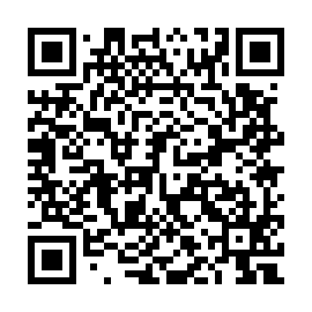 QR code for TLQ595