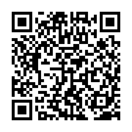 QR code for TOY391