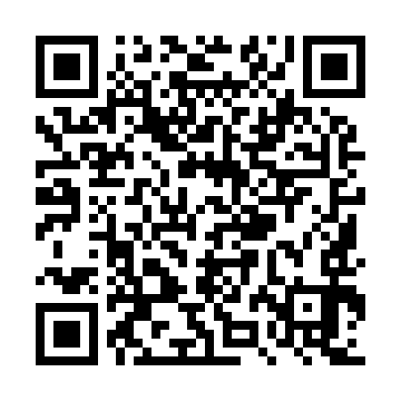 QR code for TZI993