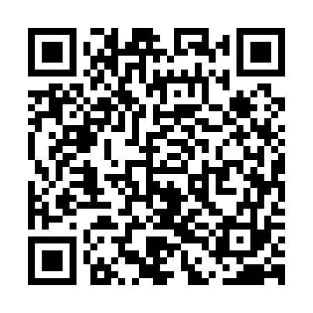 QR code for UDE173