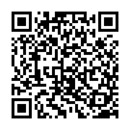 QR code for UDI949