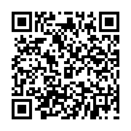 QR code for UDM295