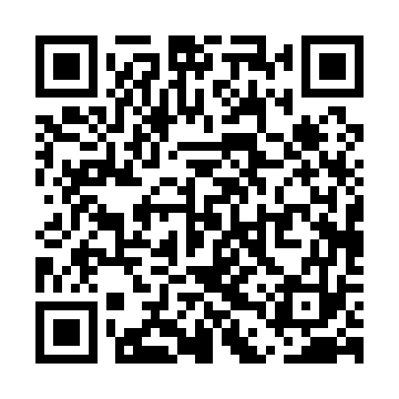 QR code for UDP173
