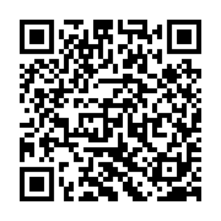 QR code for UDW291