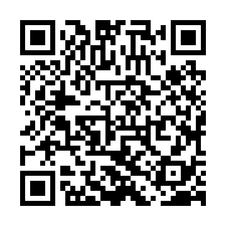 QR code for UDZ238
