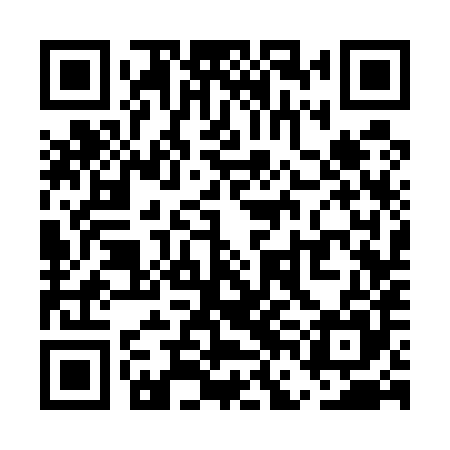 QR code for UFC585