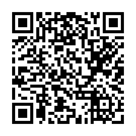 QR code for UFI394