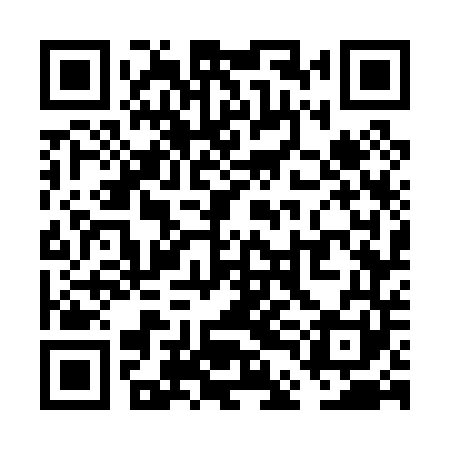 QR code for VDG041