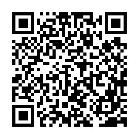 QR code for VEX666
