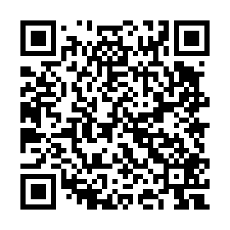 QR code for VFM409