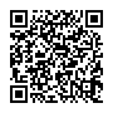 QR code for VFS919