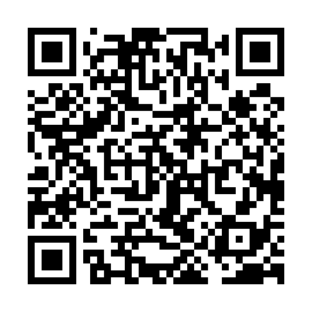 QR code for VIP538