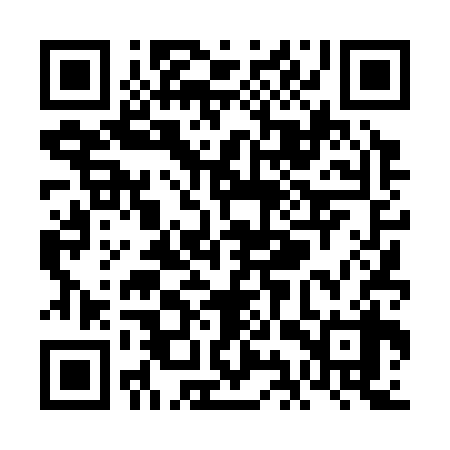 QR code for VIT338