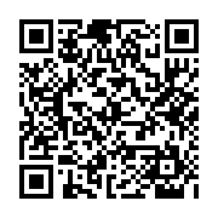 QR code for VIW217