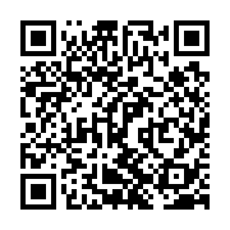 QR code for VJV738