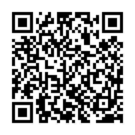 QR code for VNH413