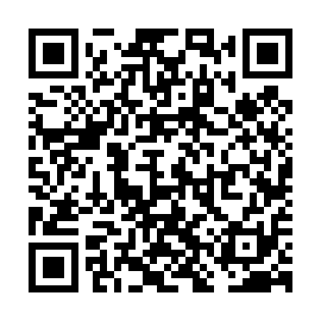 QR code for VNV411