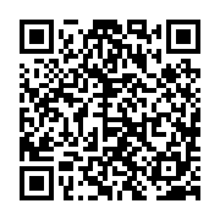 QR code for VNX295
