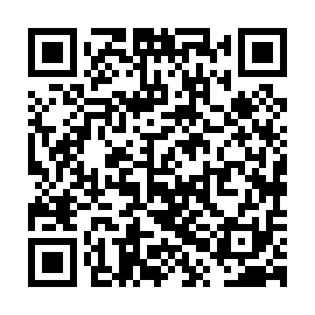 QR code for VPH011