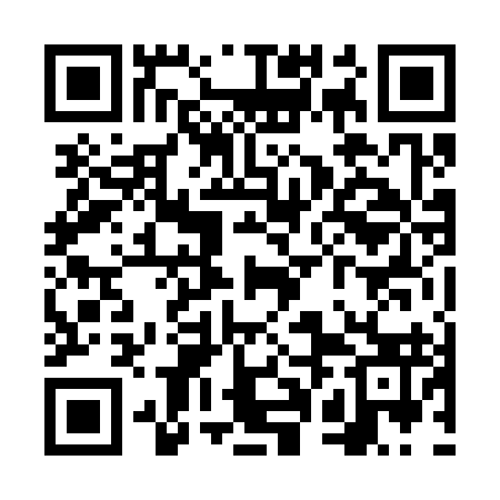QR code for VPN393