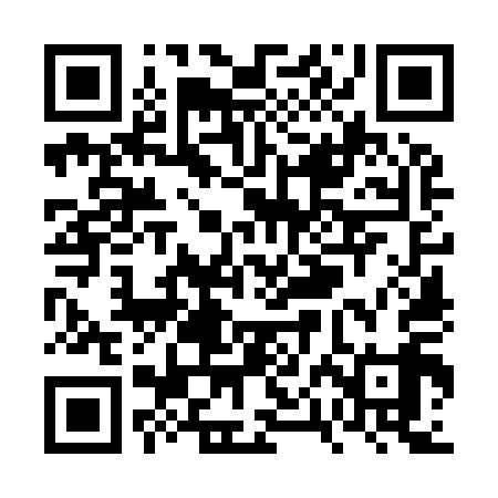 QR code for VPO919