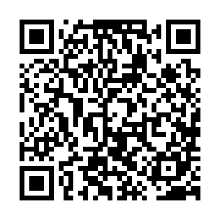 QR code for VQX385